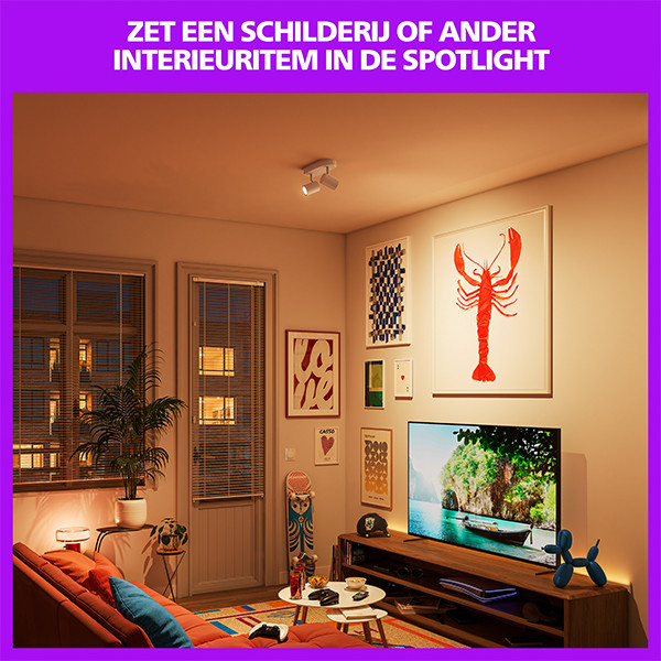Philips Smart LED Opbouwspot GU10 | 2 spots | RGB + 2200-6500K | Dimbaar | WiFi | 2 x 5W | Wit LPH05128 - 4
