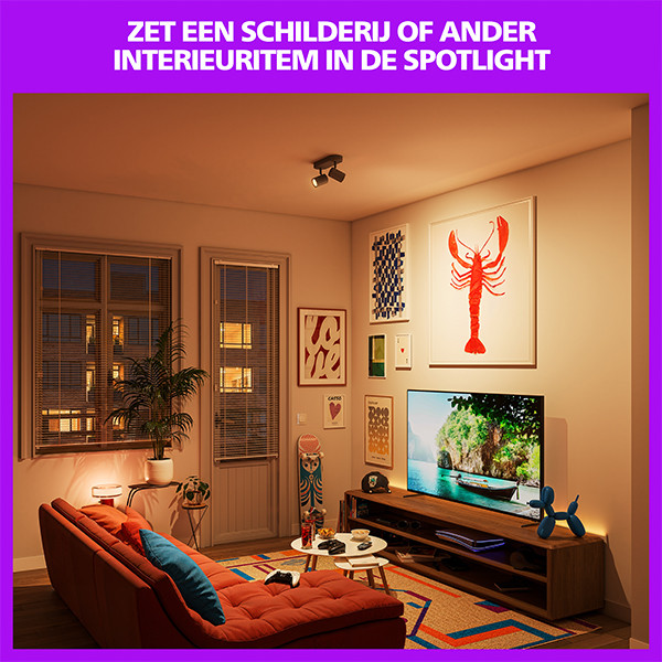 Philips Smart LED Opbouwspot GU10 | 2 spots | RGB + 2200-6500K | Dimbaar | WiFi | 2 x 5W | Zwart LPH05124 - 4