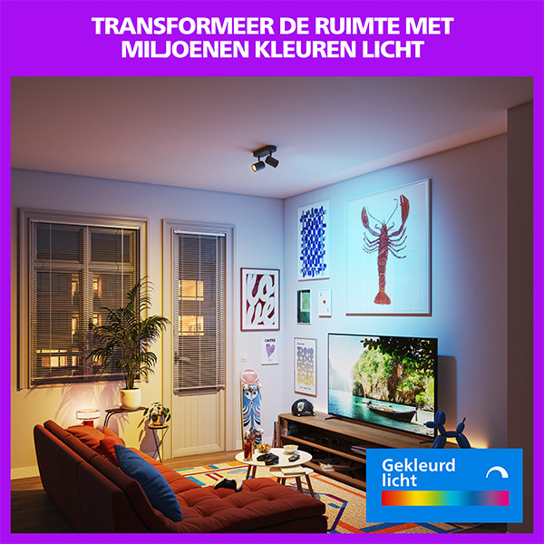 Philips Smart LED Opbouwspot GU10 | 2 spots | RGB + 2200-6500K | Dimbaar | WiFi | 2 x 5W | Zwart LPH05124 - 5