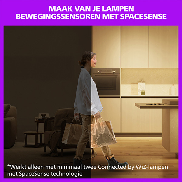Philips Smart LED Plafondlamp | Rond | Ø 37.5 cm | RGB | Dimbaar | WiFi | 24W | Wit LPH05134 - 6
