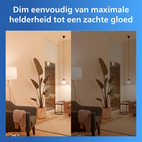 Philips Smart LED lamp E27 starterkit | 2x Peer A60 | Mat | RGB + 2200-6500K | WiFi | 9W LPH05085 - 4
