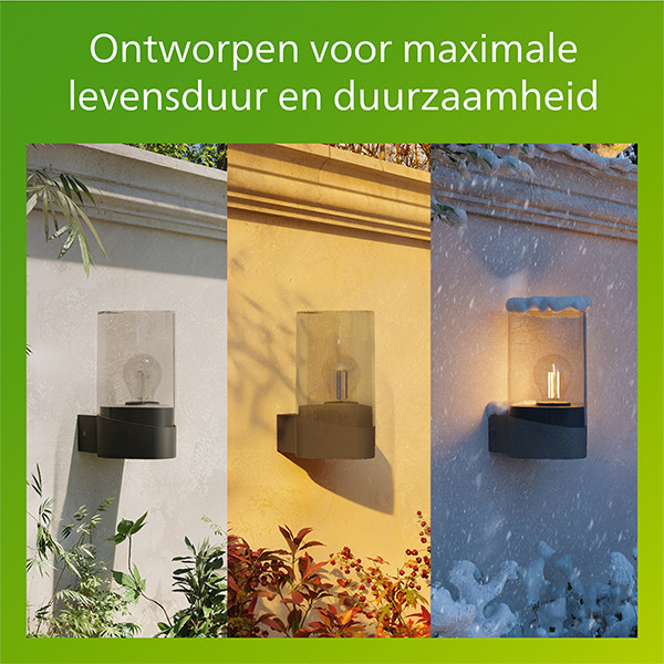 Philips Wandlamp E27 | Nayl | 2700K | IP44 | 4W | Antraciet LPH04619 - 6