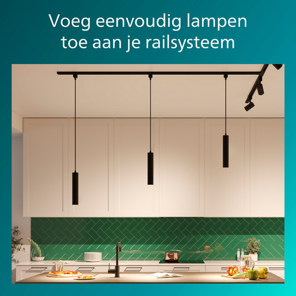 Philips hangconnector | EasyLink | Zwart LPH04519 - 2