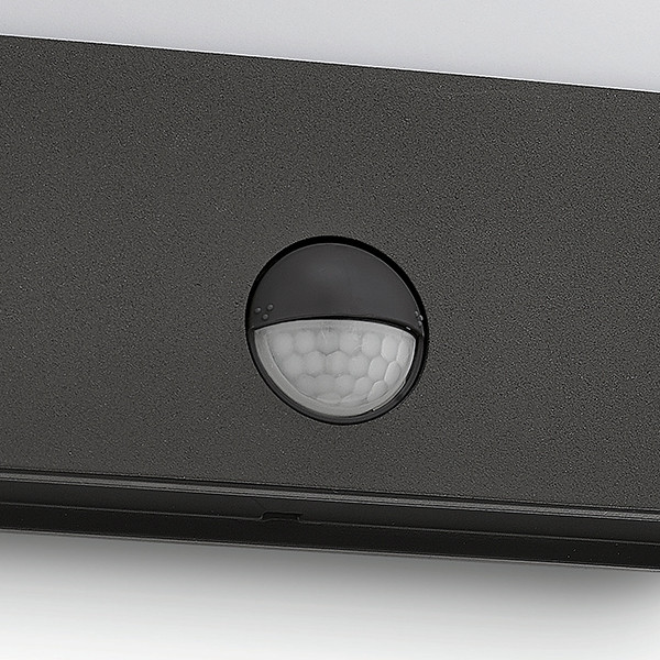 Philips myGarden wandlamp met sensor | Raccoon | 2700K | Ultra Efficient | IP44 | 4W | Antraciet LPH04756 - 3