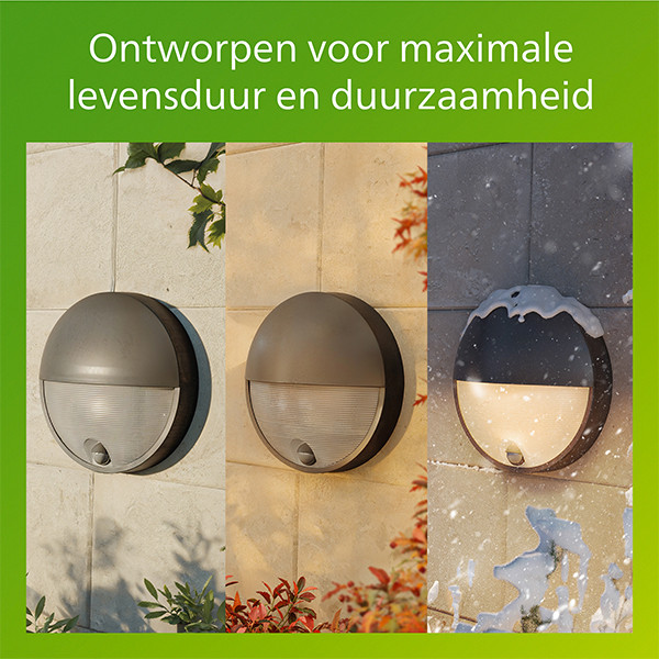 Philips wandlamp met sensor | Capricorn | 2700K | IP44 | 4.3W | Antraciet LPH04637 - 5