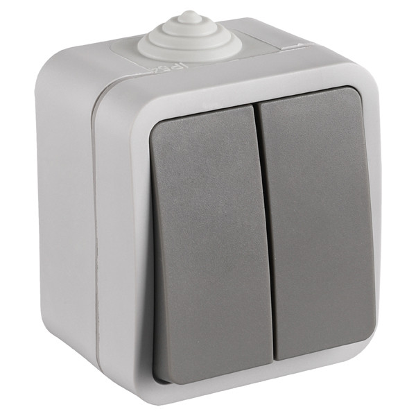 Q-Link Serieschakelaar voor buiten | Opbouw | IP54 | Grijs | Q-link  LDR03587 - 1
