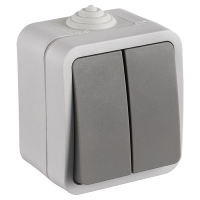 Q-Link Serieschakelaar voor buiten | Opbouw | IP54 | Grijs | Q-link  LDR03587