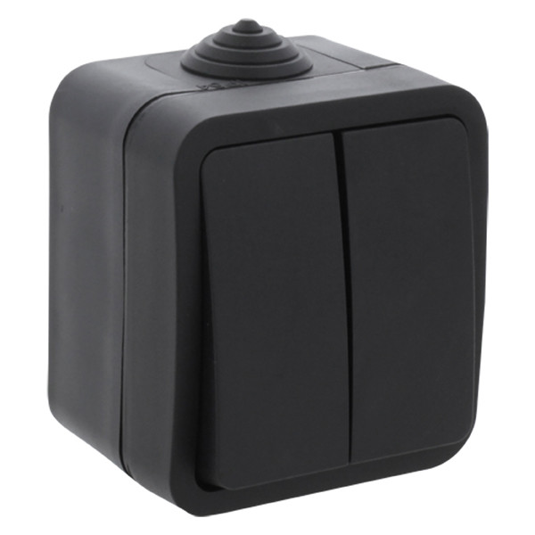 Q-Link Serieschakelaar voor buiten | Opbouw | IP54 | Zwart | Q-link  LDR03588 - 1