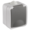Q-Link Stopcontact voor buiten 1-voudig | Opbouw | IP54 | Grijs | Q-link  LDR03597 - 1