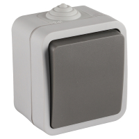 Q-Link Wisselschakelaar voor buiten | Opbouw | IP54 | Grijs | Q-link  LDR03589