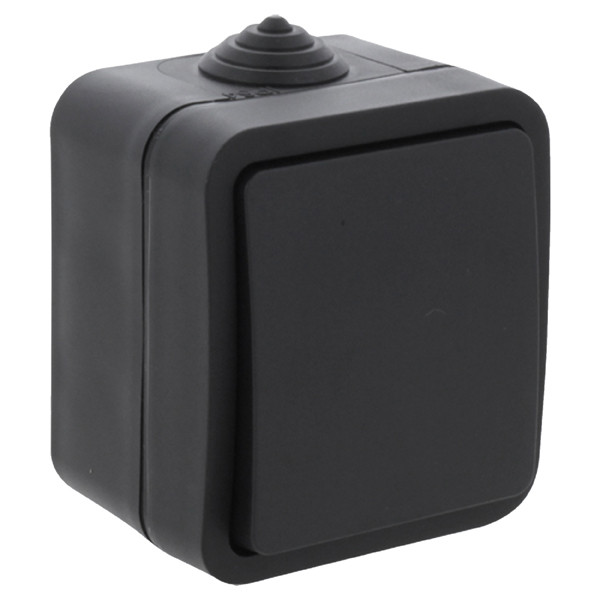 Q-Link Wisselschakelaar voor buiten | Opbouw | IP54 | Zwart | Q-link  LDR03590 - 1