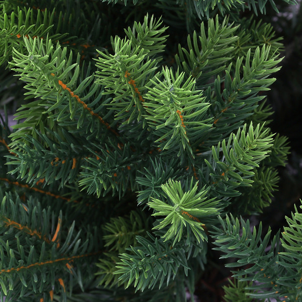 Kunstkerstboom 2.10 meter | Jordbro | 4439 tips | PVC/PE | Q-Master K000000131 - 2