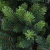 Kunstkerstboom 2.40 meter | Jordbro | 5357 tips | PVC/PE | Q-Master K000000132 - 2