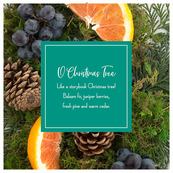 Kerstboom geurstokjes | O Christmas Tree | Scentsicles | 6 stuks LSC00003 - 4