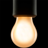 Segula LED lamp E27 | Peer A48 | Mat | 2200K | Dimbaar | 3W (26W)  LSE00127 - 2