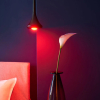 Shelly Smart lamp E27 | Duo RGBW | RGB + 4000K | 5W  LSH00048 - 3