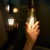 Shelly Smart lamp E27 | Edison ST64 | 2700K | Vintage | Helder | 7W  LSH00044 - 2