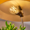 Shelly Smart lamp E27 | Peer A60 | 2700K | Vintage | Helder | 7W  LSH00046 - 2