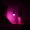 Shelly Smart lamp E27 | Peer A60 | Multicolor | WiFi | 8.5W LSH00183 - 3