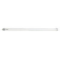 Sylvania LED TL buis 120 cm | 6500K | 2000 lumen | T8 (G13) | 13.3W  LSY00311