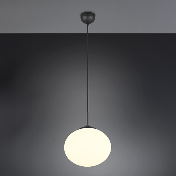Trio LED Hanglamp | Fomento | Rond | Zwart | IP20 | Trio Lighting  LTR00607 - 1