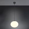 LED Hanglamp | Fomento | Rond | Zwart | IP20 | Trio Lighting LTR00607 - 1