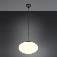 Trio LED Hanglamp | Fomento | Rond | Zwart | IP20 | Trio Lighting  LTR00609