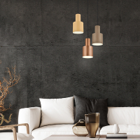 LED Hanglamp E27 | Agudo | Champagne mix | Verstelbaar | IP20 | 3 stuks | Trio Lighting LTR00749