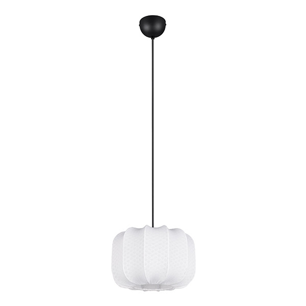 LED Hanglamp E27 | Madeline | Zwart | Verstelbaar | IP20 | Trio Lighting LTR00773 - 2