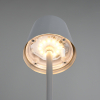 Trio LED Oplaadbare tafellamp | Diaz | 2700-6500K | Dimbaar | IP44 | Grijs | Trio Lighting  LTR00698 - 3