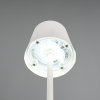 Trio LED Oplaadbare tafellamp | Diaz | 2700-6500K | Dimbaar | IP44 | Wit | Trio Lighting  LTR00702 - 4