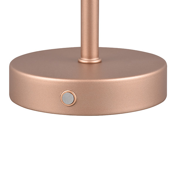 LED Oplaadbare tafellamp | Jeff | 3000K | Dimbaar | IP20 | Mokka | Trio Lighting LTR00781 - 2