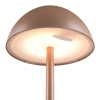LED Oplaadbare tafellamp | Up & Down | Ricardo | 3000K | Dimbaar | IP54 | Mokka | Trio Lighting LTR00783 - 3