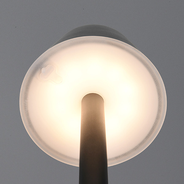 Trio LED Oplaadbare tafellamp | Vidal | 3000K | Dimbaar | IP44 | Zwart | Trio Lighting  LTR00705 - 3