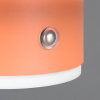 Trio LED Oplaadbare wandlamp | Davey | 3000K | Dimbaar | Abrikoos | Trio Lighting  LTR00707 - 4
