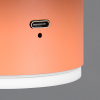 Trio LED Oplaadbare wandlamp | Davey | 3000K | Dimbaar | Abrikoos | Trio Lighting  LTR00707 - 5