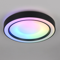 Trio LED Plafondlamp | Arco | Rond | 2700-6000K | Zwart | IP20 | 22W | Trio Lighting  LTR00489