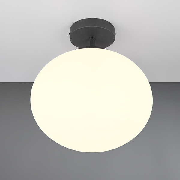 Trio LED Plafondlamp | Fomento | Rond | Zwart | IP20 | Trio Lighting  LTR00615 - 1