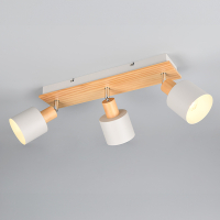 Trio LED Plafondspot | Shanti | Rond | Grijs | IP20 | Trio Lighting  LTR00654