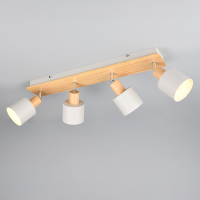 Trio LED Plafondspot | Shanti | Rond | Grijs | IP20 | Trio Lighting  LTR00655
