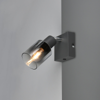 Trio LED Plafondspot E14 | Cadiz | Rond | Antraciet | IP20 | Trio Lighting  LTR00490