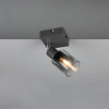 Trio LED Plafondspot E14 | Cadiz | Rond | Antraciet | IP20 | Trio Lighting  LTR00490 - 4