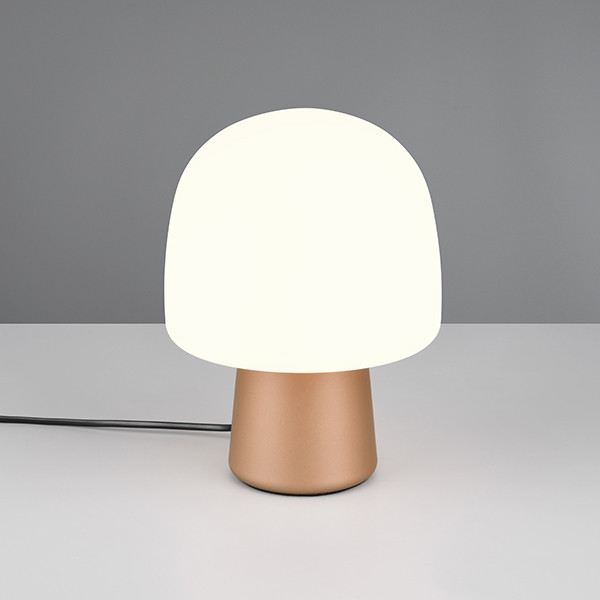 Trio LED Tafellamp | Steen | Rond | Bruin | IP20 | Trio Lighting  LTR00678 - 1