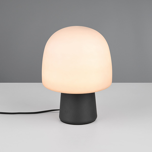 Trio LED Tafellamp | Steen | Rond | Zwart | IP20 | Trio Lighting  LTR00677 - 1