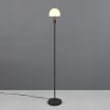 LED Vloerlamp | Glenn | Rond | Zwart | IP20 | Trio Lighting LTR00531 - 1