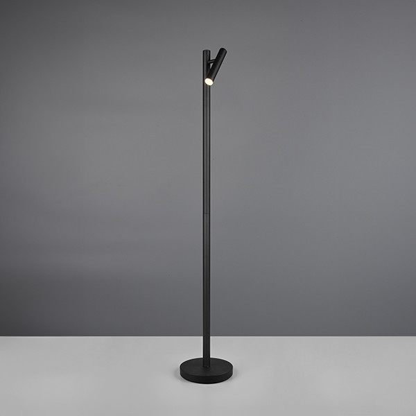 Trio LED Vloerlamp | Gomez | Rond | 3000-6500K | Zwart | IP20 | 3W | Trio Lighting  LTR00498 - 1