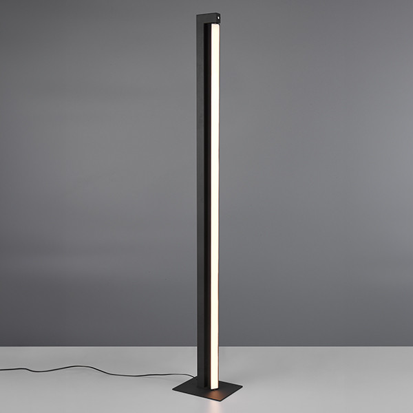 Trio LED Vloerlamp | Seeker | Langwerpig | 2300-4000K | Zwart | IP20 | 21W | Trio Lighting  LTR00650 - 1