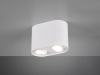 Trio Led opbouwspot | Ovaal | Cookie | Wit | 2x GU10 fitting  LTR00145 - 2