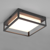 Trio Plafondlamp buiten | Witham | 2300-3000-4000K | Antraciet | IP54 | 14W