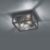 Trio Plafondlamp buiten E27 | Garonne | Antraciet | IP44